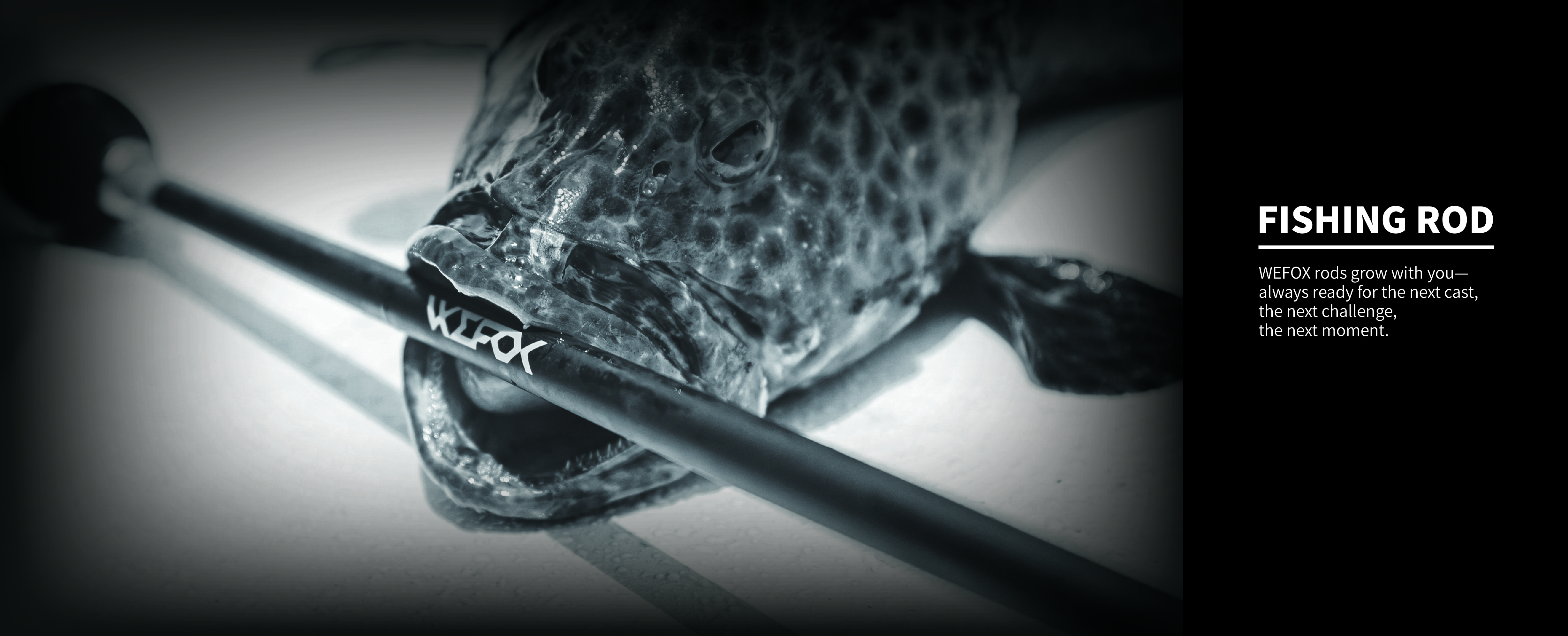 釣竿 / FISHING RODS